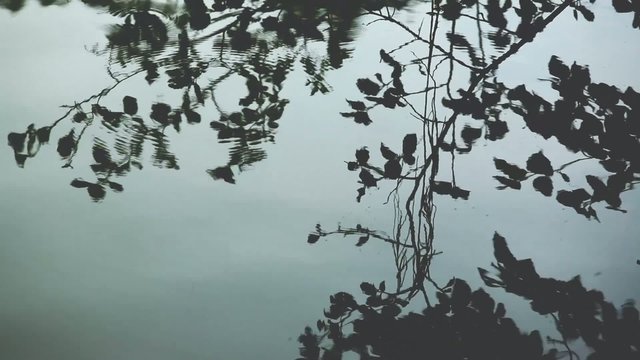 Abstract water reflection. Creative background