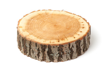 Cross section of tree trunk on white background