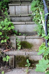 Sehr alte Treppe zugewachsen