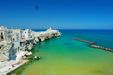 Spectacular view of Vieste town