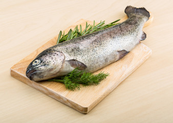 Raw fresh trout