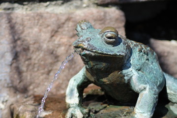 A fountain of frog sculpture in Botanical Garden in Innsbruck, Austria