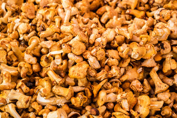 Pfifferlinge auf dem Markt 01