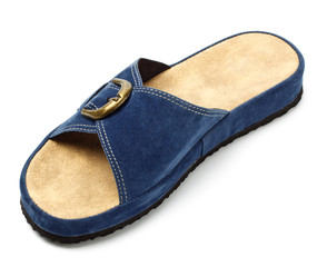 blue slipper