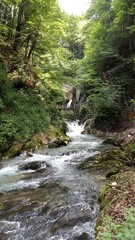 Fototapeta premium Bach im wald