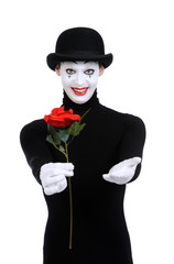 gift rose