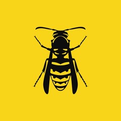 Wasp Vector illustration