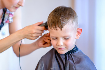 Handsome little boy getting a hair cut