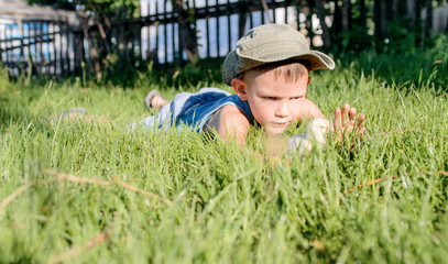 Naklejka na ściany i meble Young Boy Playing with Chick in Long Grass