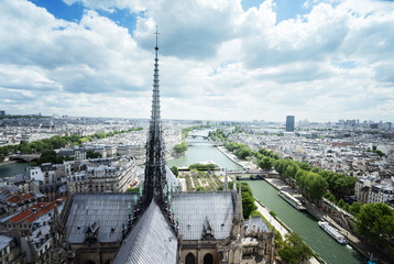Fototapeta na wymiar Paris from Notre Dame, France