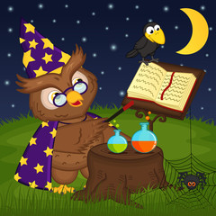 Obraz na płótnie Canvas owl wizard - vector illustration, eps
