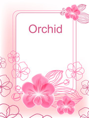 Pink orchid frame on a beige background