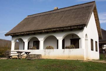 Fototapeta na wymiar Traditional Hungarian house
