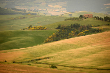 Rolling hills in summer. Val d'Orcia Tuscany