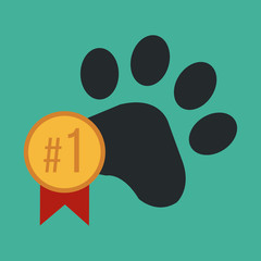 pet illustration over color background