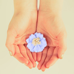 flower in women's hands