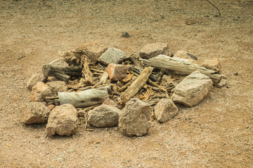 The Alien and Beautiful Life of the Arizona Desert in Spring

