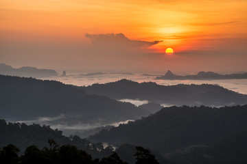 sunrise over sea fog