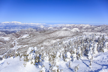 Fototapeta na wymiar Shiga Kogen in winter, Nagano, Japan