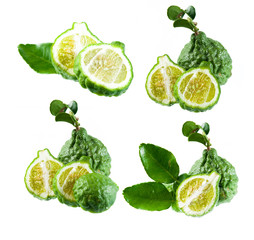 Bergamot and kaffir lime leaves on white background