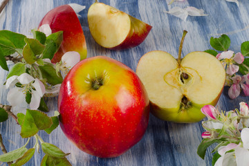 blooming apple twigs and red apples on  blue table.