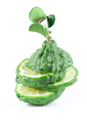 Bergamot and kaffir lime leaves on white background