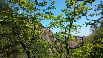 Fototapeta premium 설악산계곡