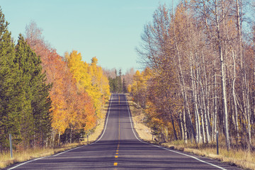Autumn road