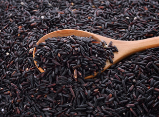 close up of rice berry rice in wooden spoon