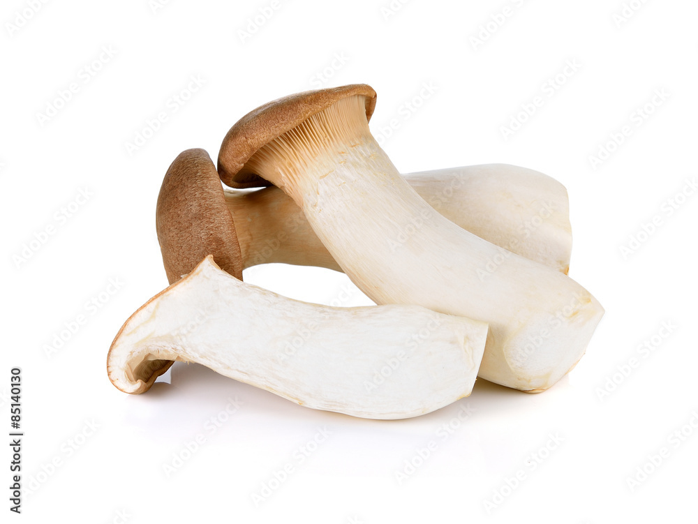 Wall mural king oyster mushroom on white background