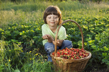 cheerful boy with basket of berries