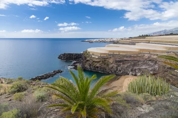 Foto auf Acrylglas Abama beach and banana plantation, Tenerife, Canary islands © alexpolo