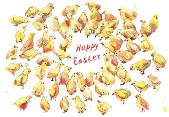 A lot of chickens watercolor. Easter hand-drawn illustration on white backgroung. © Viktoriia Manuilova
