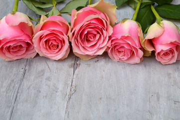 Three pink yellow roses on a old used grey wooden background with empty space