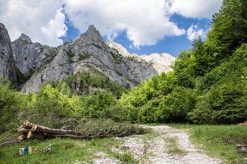 Summer landscape on the mountain