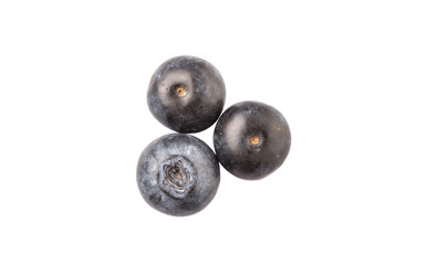 Blueberry fruits on white background