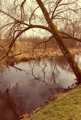 Vintage photo of autumn scene