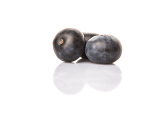 Blueberry fruits on white background