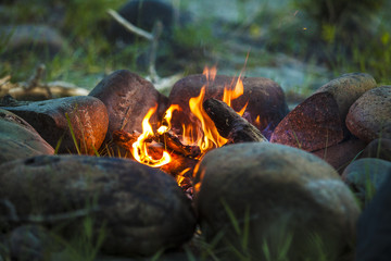Tourist bonfire at dusk in the forest