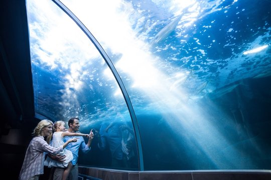 Happy Family Looking At Fish In A Tank