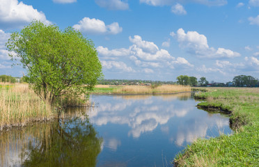 Spring landscape with small river Kagamlik in central Ukraine