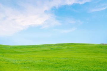Fotobehang Sky, Grass, Field. © BillionPhotos.com