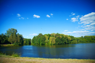 Fototapeta premium River flowing in the woods on a sunny summer day.