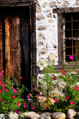 Fototapeta na wymiar An overgrown door and window of a rural house