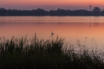 Morning sun rise