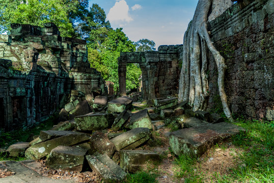 building in ruins strangulated by a tree "spung" in the archaeological enclosure of preah khan, siam reap, cambodia