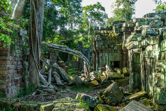 structure in ruins strangulated by a tree ficus in the archaeological enclosure of preah khan, siam reap, cambodia