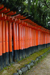 Obraz premium Torii gates at Fushimi Inari-Taish shrine in Kyoto Japan
