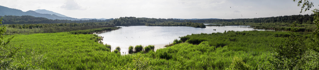Fototapeta premium Moorsee