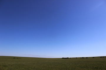 Obraz premium blue sky and field